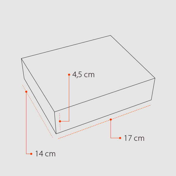 Chico x 15 - Sushi - Imagen 3